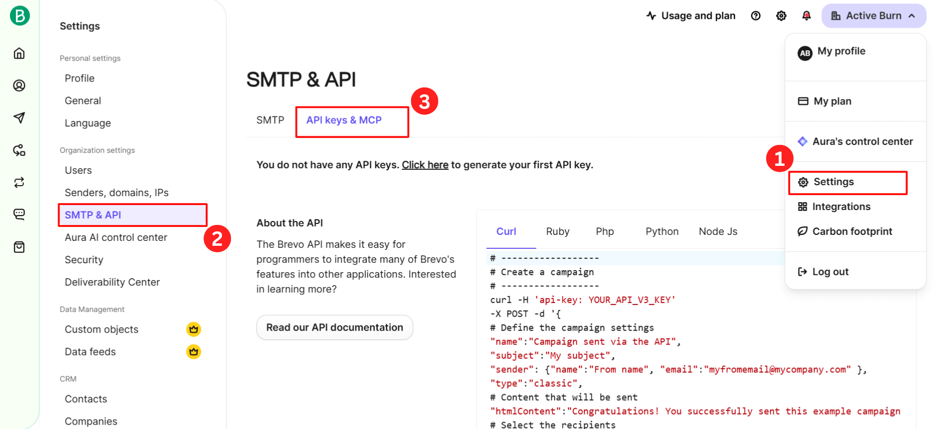 Brevo Settings showing SMTP & API navigation with numbered steps