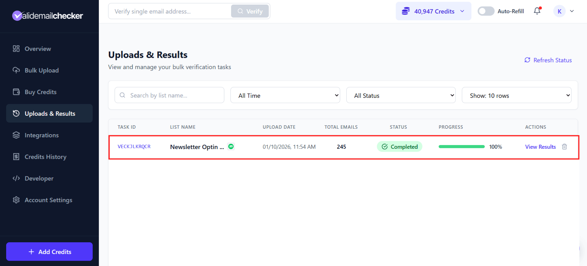 Uploads & Results showing MailerLite verification completed at 100%